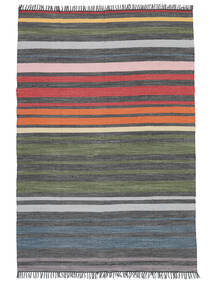  Rainbow Stripe - 회색 러그 160X230 정품 모던 수제 라이트 그레이/다크 그린 (면화, 인도)